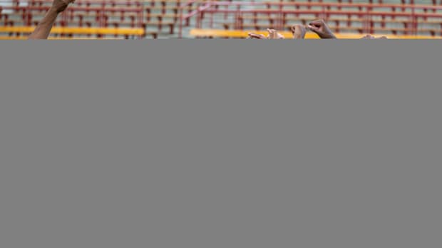 The top Black college basketball prospects participate in the NBPA HBCU Top 50 Camp at Morehouse College